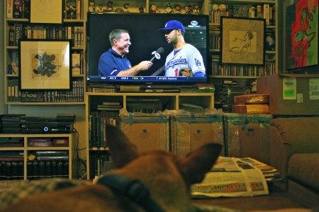 My dog, Zorro, loves to sit on my lap and watch the Dodgers win.